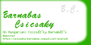 barnabas csicsaky business card